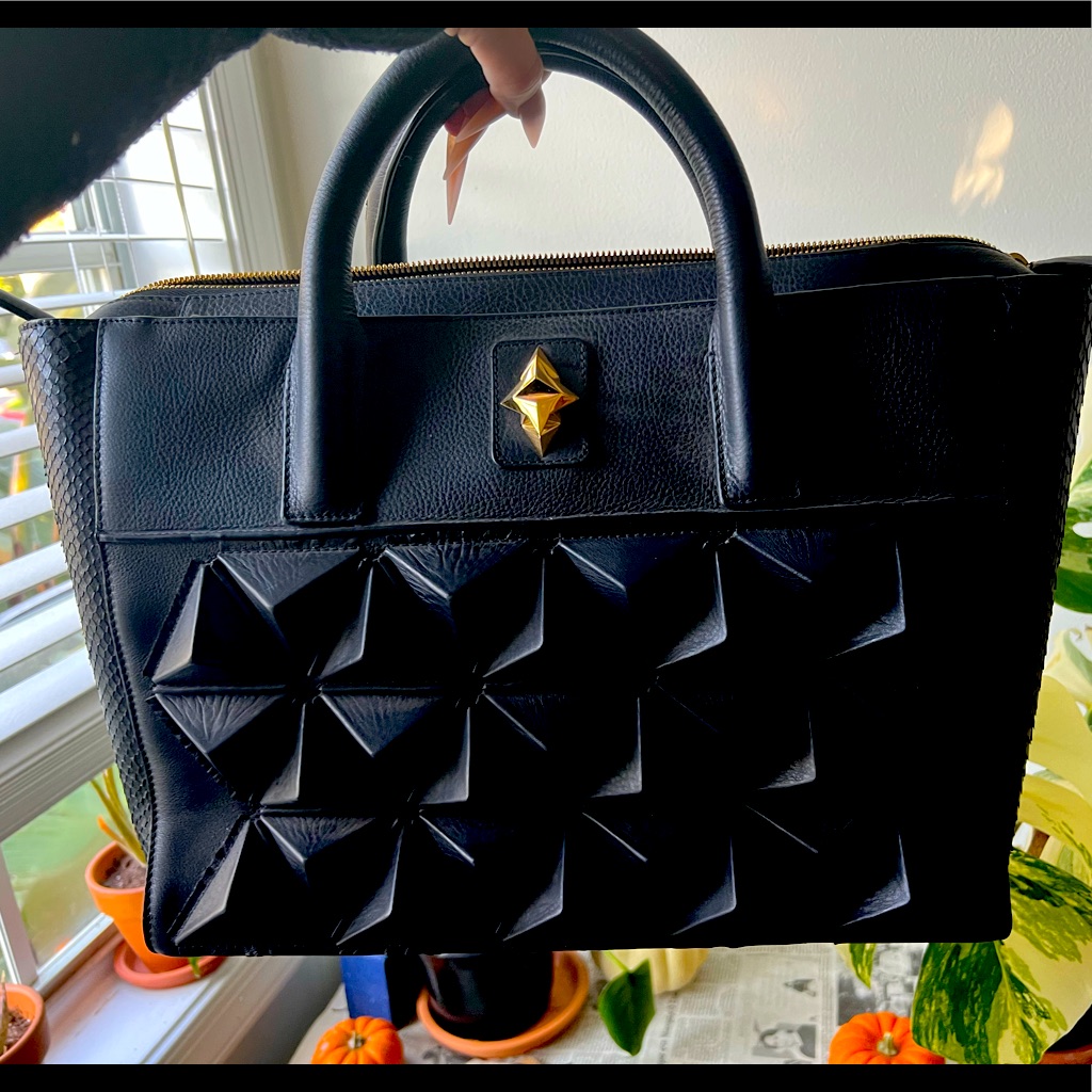 Sofia Al Asfoor Python Shield Bag